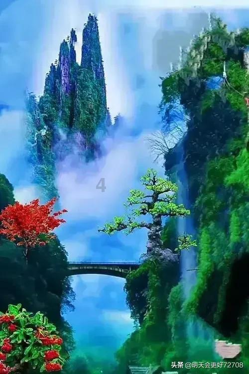 小猫钓鱼游戏龙王版有船
