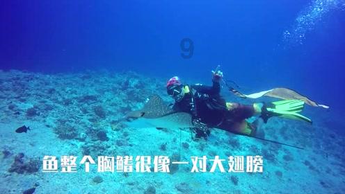 公安系统2人获“国家卓越工程师”称号