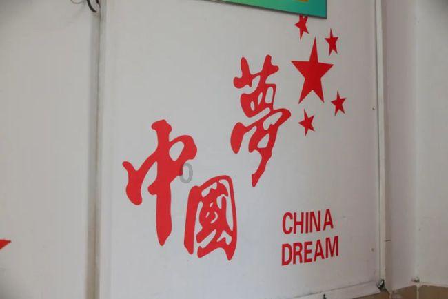虫虫助手下载